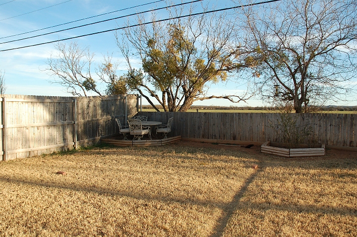 Yard before starting project.jpg